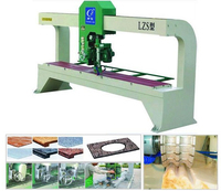 LZS型 龍門多用磨邊機(jī)